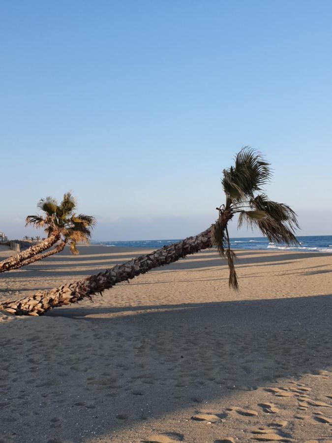 Reve Mediterraneen, La Vie De Chateau Le Barcarès エクステリア 写真